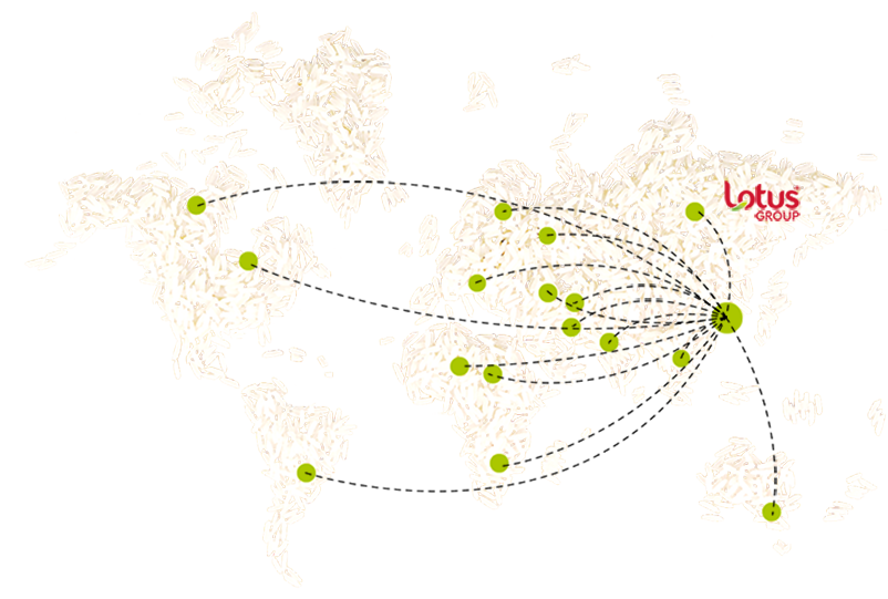 OUR GLOBAL